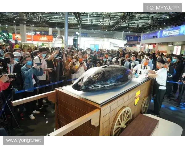 ✅体育直播🏆世界杯直播🏀NBA直播⚽进博“展品”变“商品”，马耳他蓝鳍金枪鱼正式进入中国市场sports